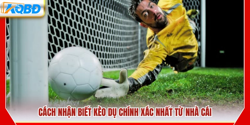 Dấu hiệu nhận biết kèo dụ hiệu quả từ nhà cái