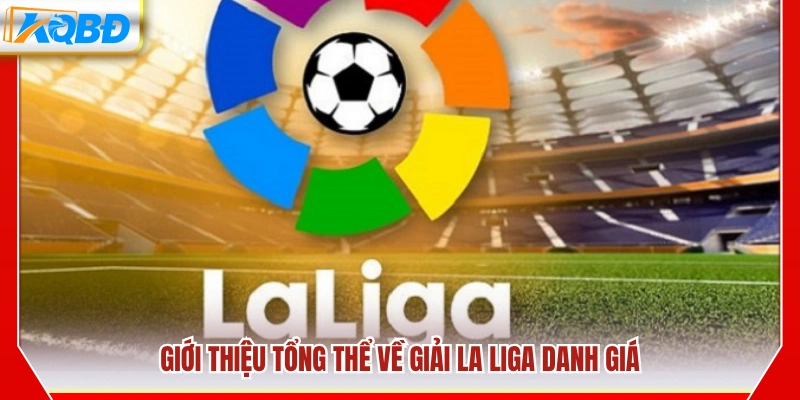 Tổng quan về giải đấu vô địch quốc gia Tây Ban Nha