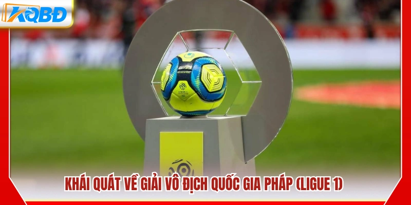 Tổng quan về giải bóng đá hàng đầu nước Pháp (Ligue 1)